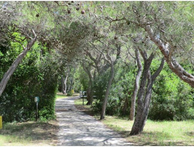 Anteprima foto 2 - Offerte Vacanze Villaggio turistico a Ugento - Lido Marini