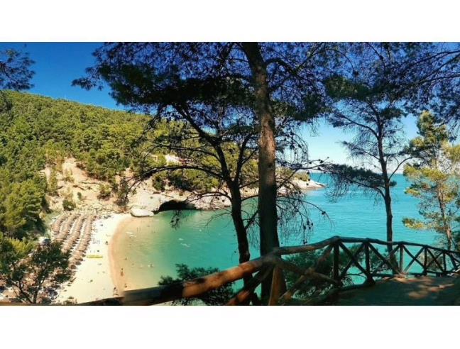 Anteprima foto 2 - Offerte Vacanze Villaggio turistico a Vieste - Pugnochiuso