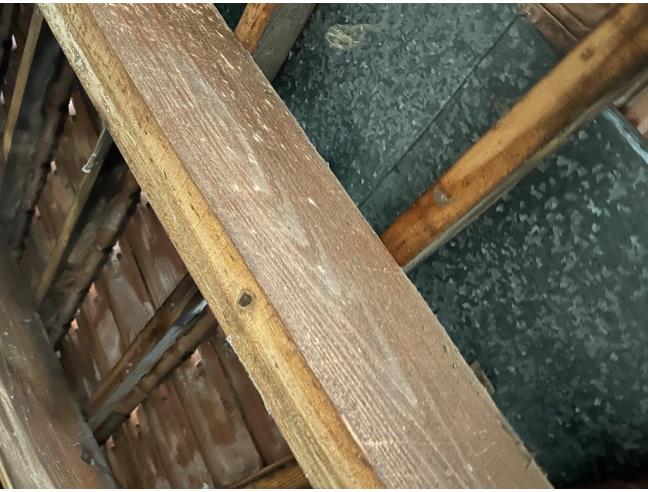 Anteprima foto 8 - Palazzo/Stabile in Vendita a Cossato (Biella)