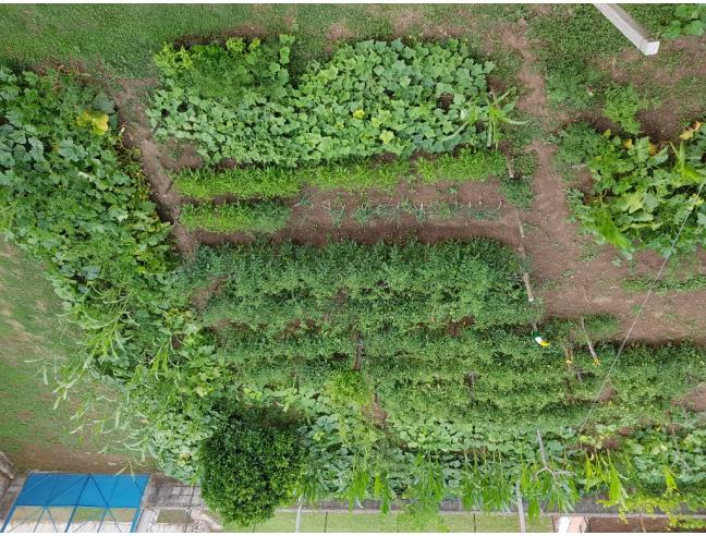 Anteprima foto 7 - Palazzo/Stabile in Vendita a Dragoni (Caserta)