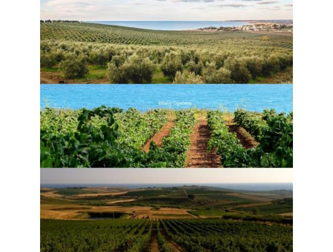 Anteprima foto 8 - Palazzo/Stabile in Vendita a Menfi (Agrigento)