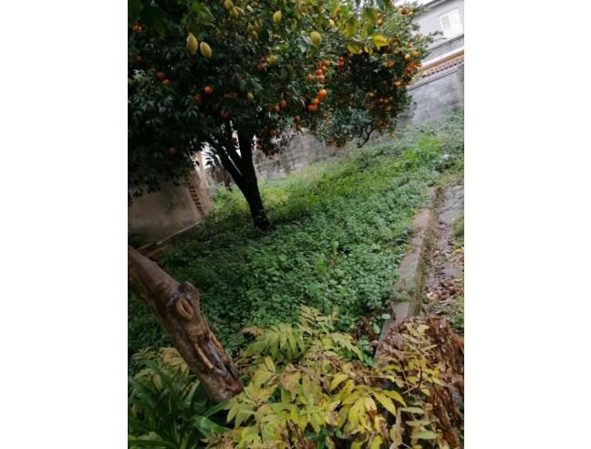 Anteprima foto 6 - Palazzo/Stabile in Vendita a Mileto (Vibo Valentia)