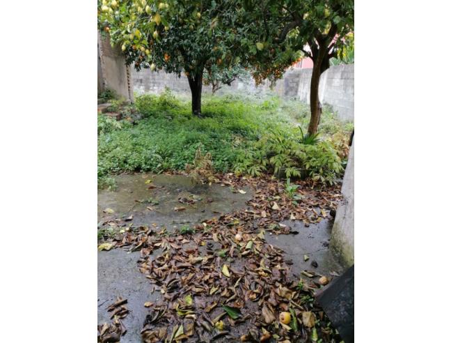 Anteprima foto 7 - Palazzo/Stabile in Vendita a Mileto (Vibo Valentia)