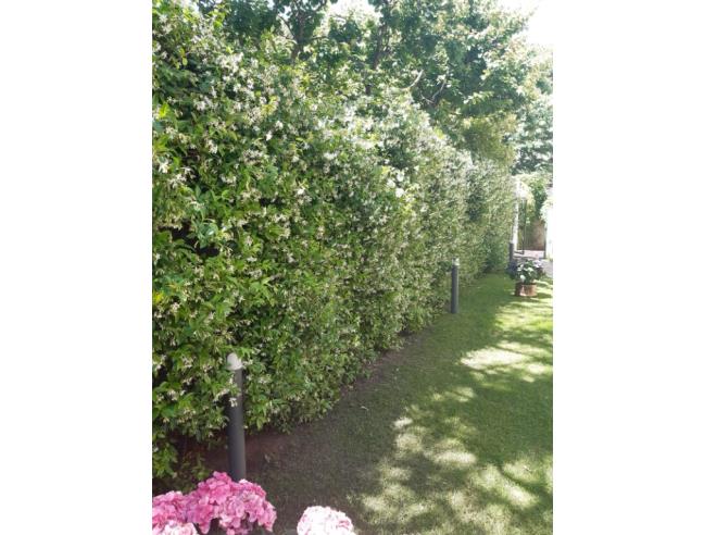 Anteprima foto 6 - Palazzo/Stabile in Vendita a Monte San Vito (Ancona)