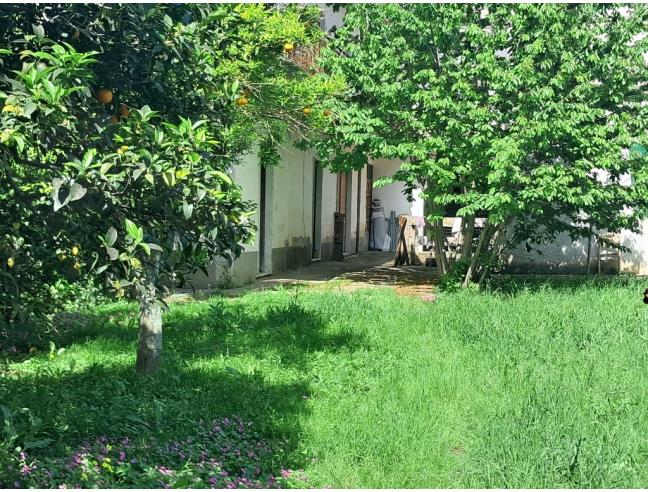 Anteprima foto 7 - Palazzo/Stabile in Vendita a Pastorano (Caserta)