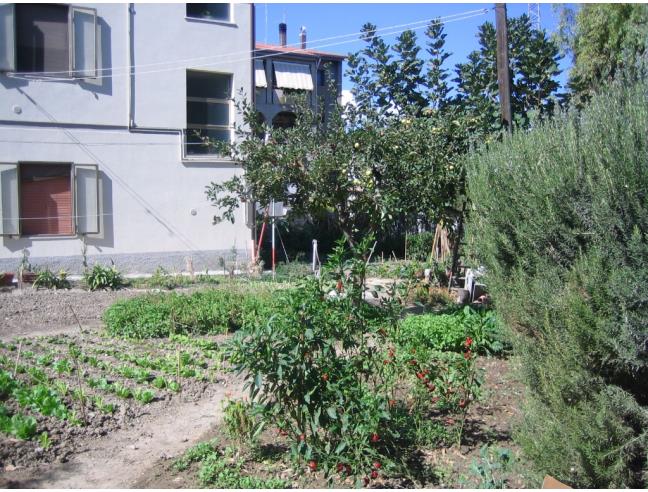 Anteprima foto 6 - Palazzo/Stabile in Vendita a Petacciato (Campobasso)