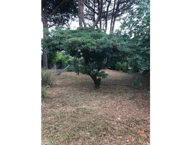 Anteprima foto 3 - Porzione di casa in Affitto a Ameglia - Fiumaretta