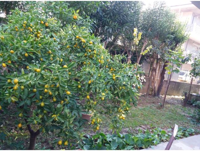 Anteprima foto 8 - Porzione di casa in Affitto a Montesilvano - Montesilvano Colle