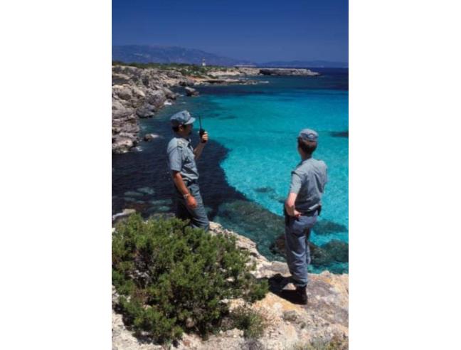 Anteprima foto 5 - Porzione di casa in Affitto a Monteverdi Marittimo - Canneto