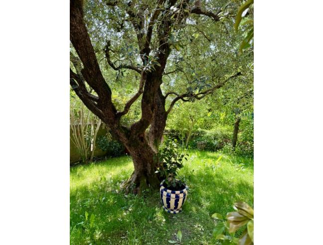 Anteprima foto 4 - Porzione di casa in Affitto a San Donà di Piave (Venezia)