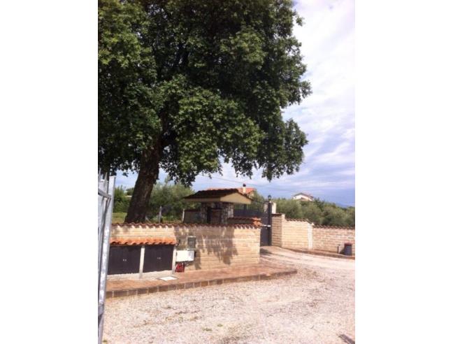 Anteprima foto 5 - Porzione di casa in Affitto a Velletri (Roma)