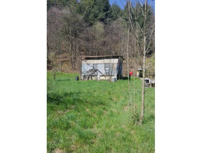 Anteprima foto 6 - Porzione di casa in Vendita a Borgo San Dalmazzo - Berguda