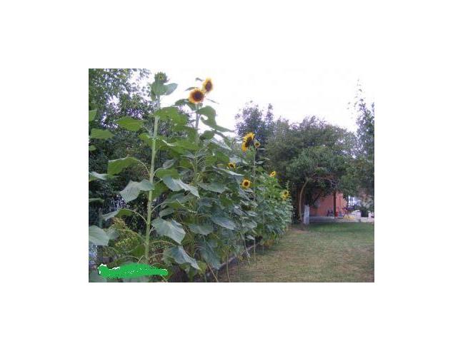 Anteprima foto 3 - Porzione di casa in Vendita a Carpaneto Piacentino (Piacenza)