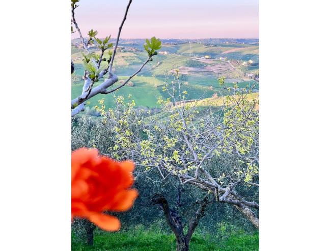 Anteprima foto 6 - Porzione di casa in Vendita a Casalanguida - Cese