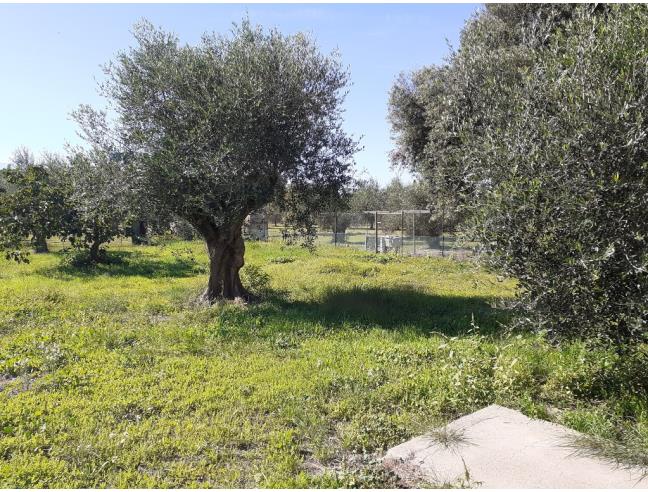 Anteprima foto 2 - Porzione di casa in Vendita a Follonica (Grosseto)