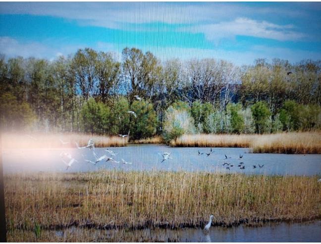 Anteprima foto 8 - Porzione di casa in Vendita a Fucecchio - Massarella