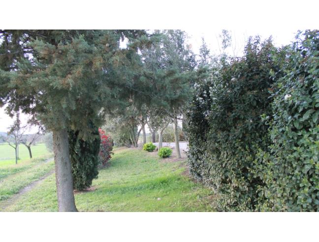Anteprima foto 4 - Porzione di casa in Vendita a Magliano in Toscana (Grosseto)