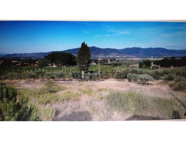 Anteprima foto 2 - Porzione di casa in Vendita a Monte San Savino - Poggio Danzino