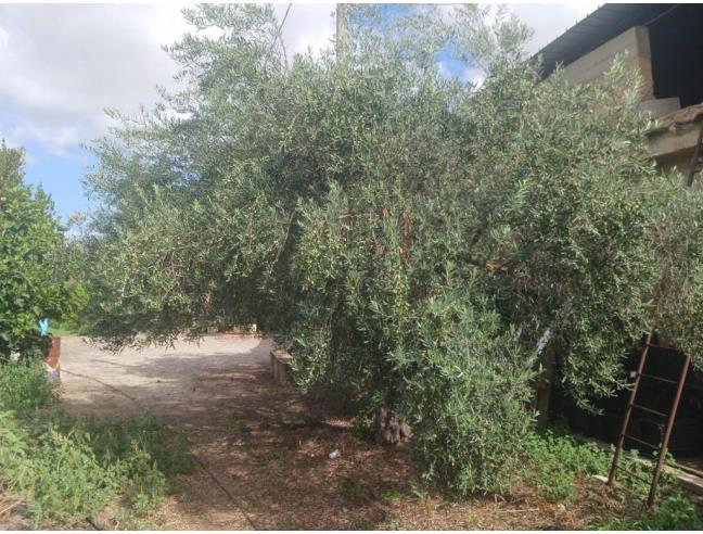 Anteprima foto 4 - Porzione di casa in Vendita a Vicari (Palermo)