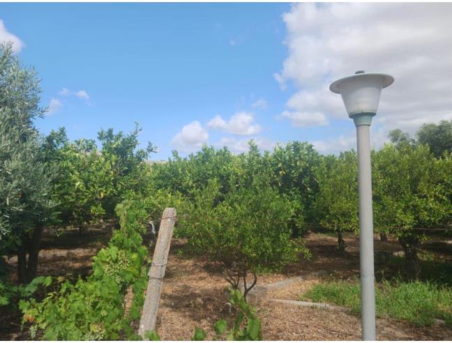 Anteprima foto 5 - Porzione di casa in Vendita a Vicari (Palermo)