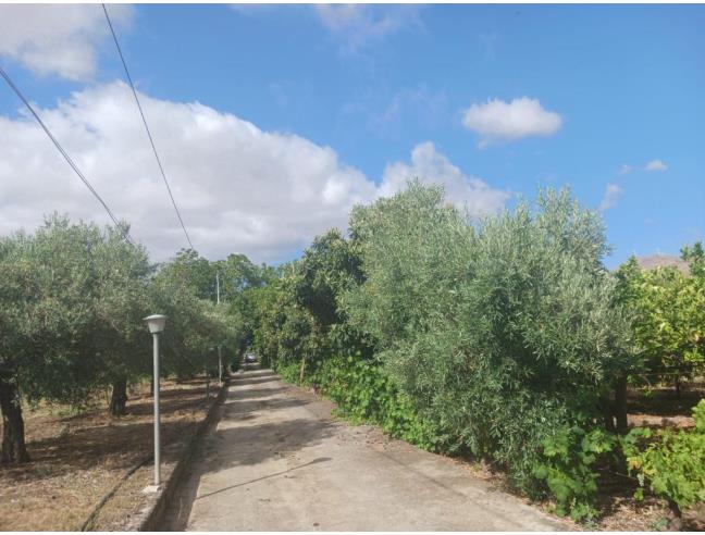 Anteprima foto 6 - Porzione di casa in Vendita a Vicari (Palermo)