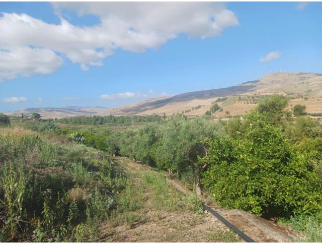 Anteprima foto 7 - Porzione di casa in Vendita a Vicari (Palermo)