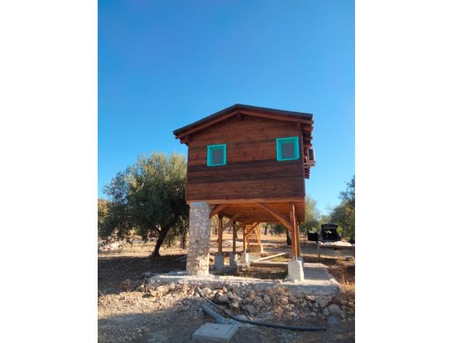 Anteprima foto 6 - Rustico/Casale in Affitto a Avola (Siracusa)