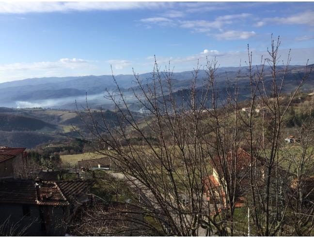 Anteprima foto 2 - Rustico/Casale in Affitto a Pratovecchio Stia (Arezzo)