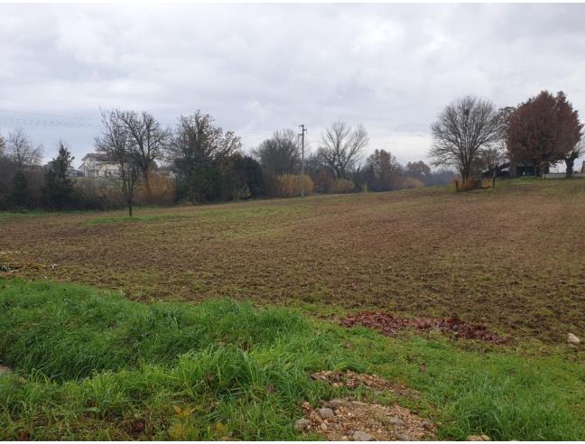 Anteprima foto 3 - Rustico/Casale in Affitto a San Giorgio a Liri - Colli