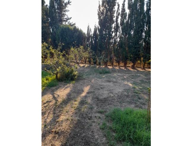 Anteprima foto 3 - Rustico/Casale in Affitto a Sassari (Sassari)