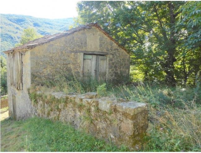 Anteprima foto 7 - Rustico/Casale in Vendita a Albareto (Parma)