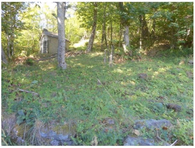 Anteprima foto 8 - Rustico/Casale in Vendita a Albareto (Parma)