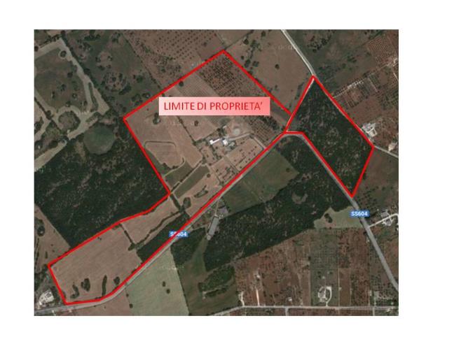 Anteprima foto 3 - Rustico/Casale in Vendita a Alberobello (Bari)