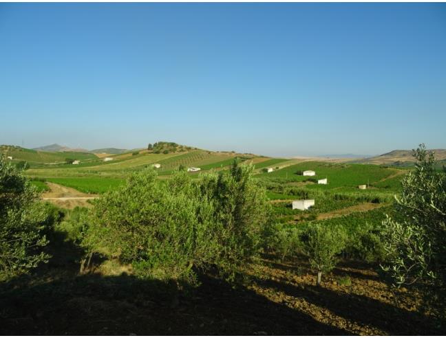 Anteprima foto 4 - Rustico/Casale in Vendita a Alcamo (Trapani)