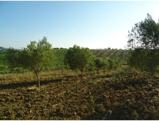 Anteprima foto 5 - Rustico/Casale in Vendita a Alcamo (Trapani)