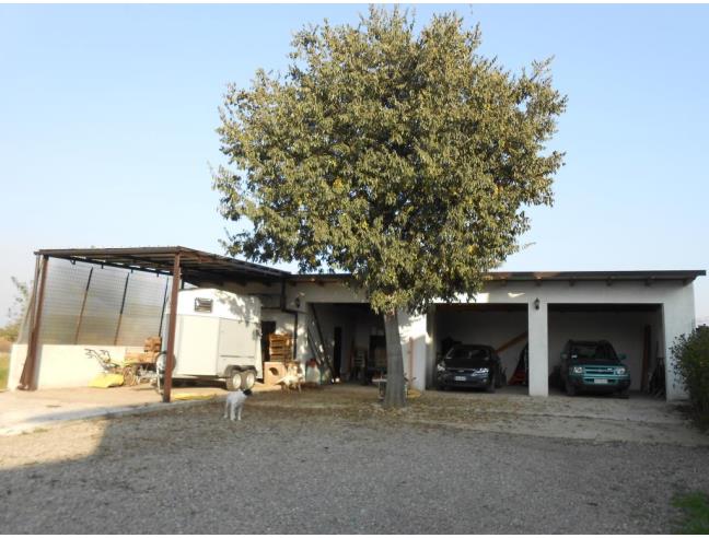 Anteprima foto 3 - Rustico/Casale in Vendita a Alessandria - San Giuliano Nuovo