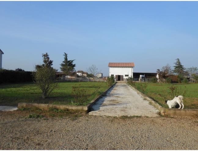 Anteprima foto 4 - Rustico/Casale in Vendita a Alessandria - San Giuliano Nuovo