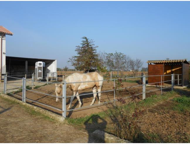 Anteprima foto 6 - Rustico/Casale in Vendita a Alessandria - San Giuliano Nuovo