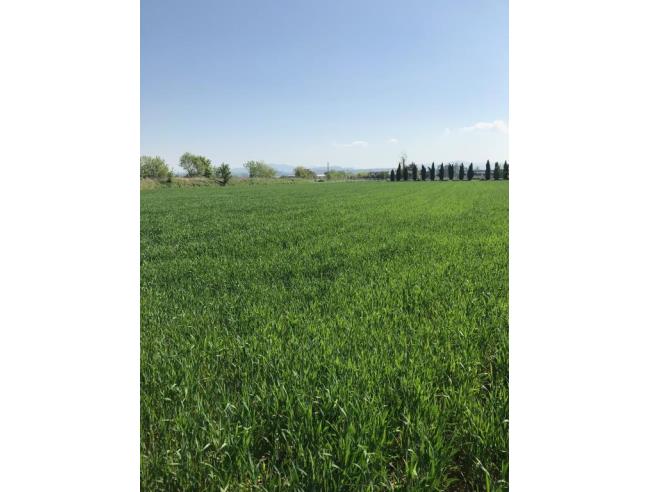 Anteprima foto 2 - Rustico/Casale in Vendita a Alseno - Lusurasco