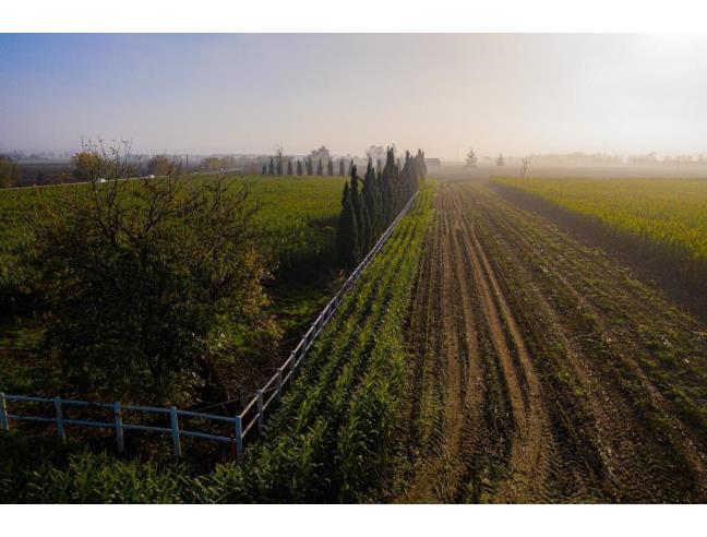 Anteprima foto 4 - Rustico/Casale in Vendita a Alseno - Lusurasco