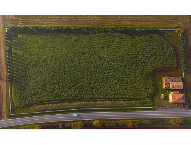 Anteprima foto 5 - Rustico/Casale in Vendita a Alseno - Lusurasco