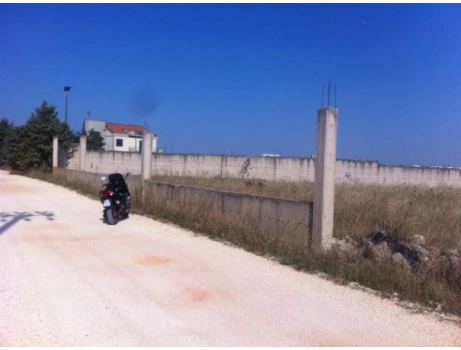 Anteprima foto 3 - Rustico/Casale in Vendita a Altamura (Bari)