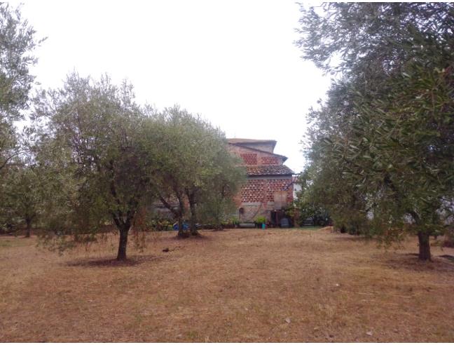 Anteprima foto 3 - Rustico/Casale in Vendita a Altopascio - Marginone