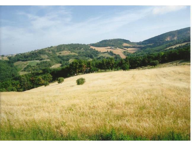 Anteprima foto 5 - Rustico/Casale in Vendita a Ancona - Massignano