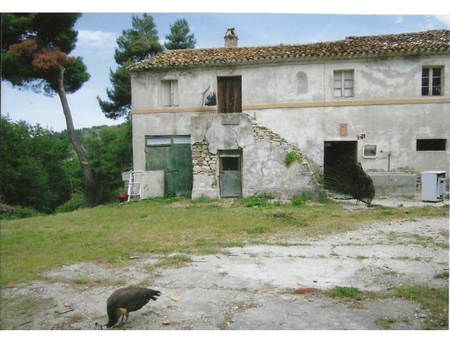 Anteprima foto 6 - Rustico/Casale in Vendita a Ancona - Massignano