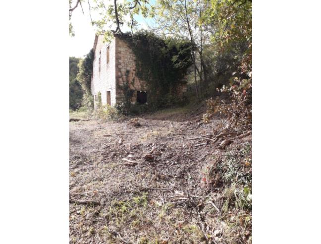 Anteprima foto 2 - Rustico/Casale in Vendita a Arcevia - Prosano
