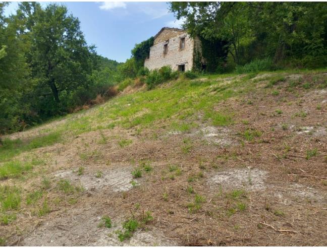 Anteprima foto 5 - Rustico/Casale in Vendita a Arcevia - Prosano