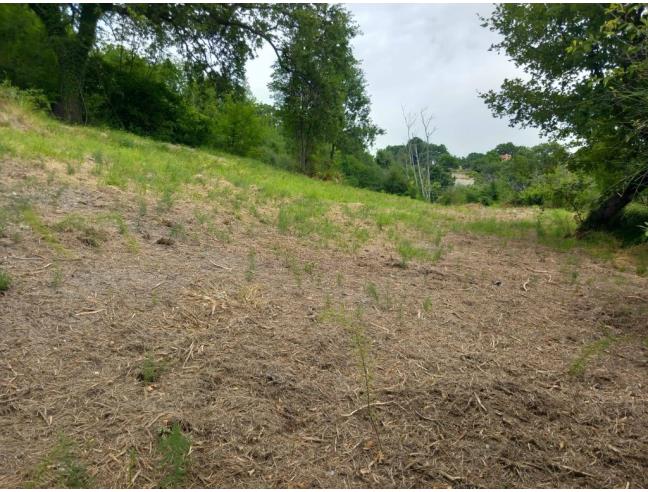 Anteprima foto 6 - Rustico/Casale in Vendita a Arcevia - Prosano