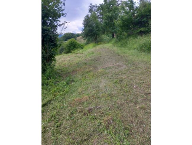 Anteprima foto 7 - Rustico/Casale in Vendita a Arcevia - Prosano