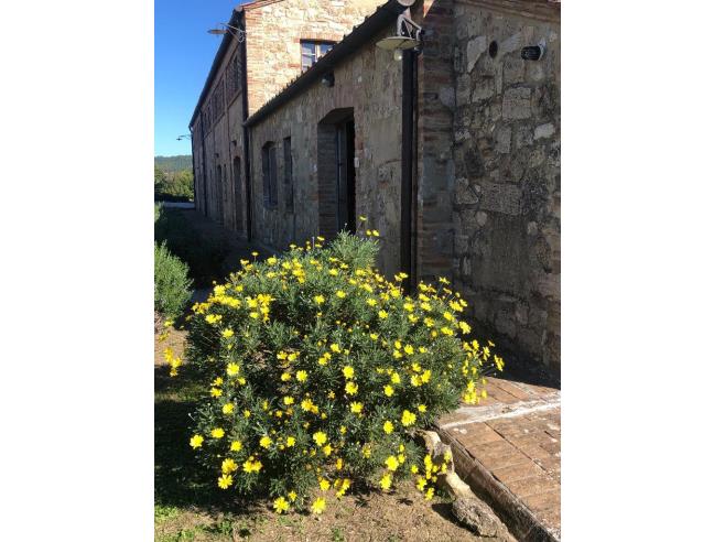 Anteprima foto 2 - Rustico/Casale in Vendita a Asciano (Siena)